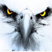 EagleEye